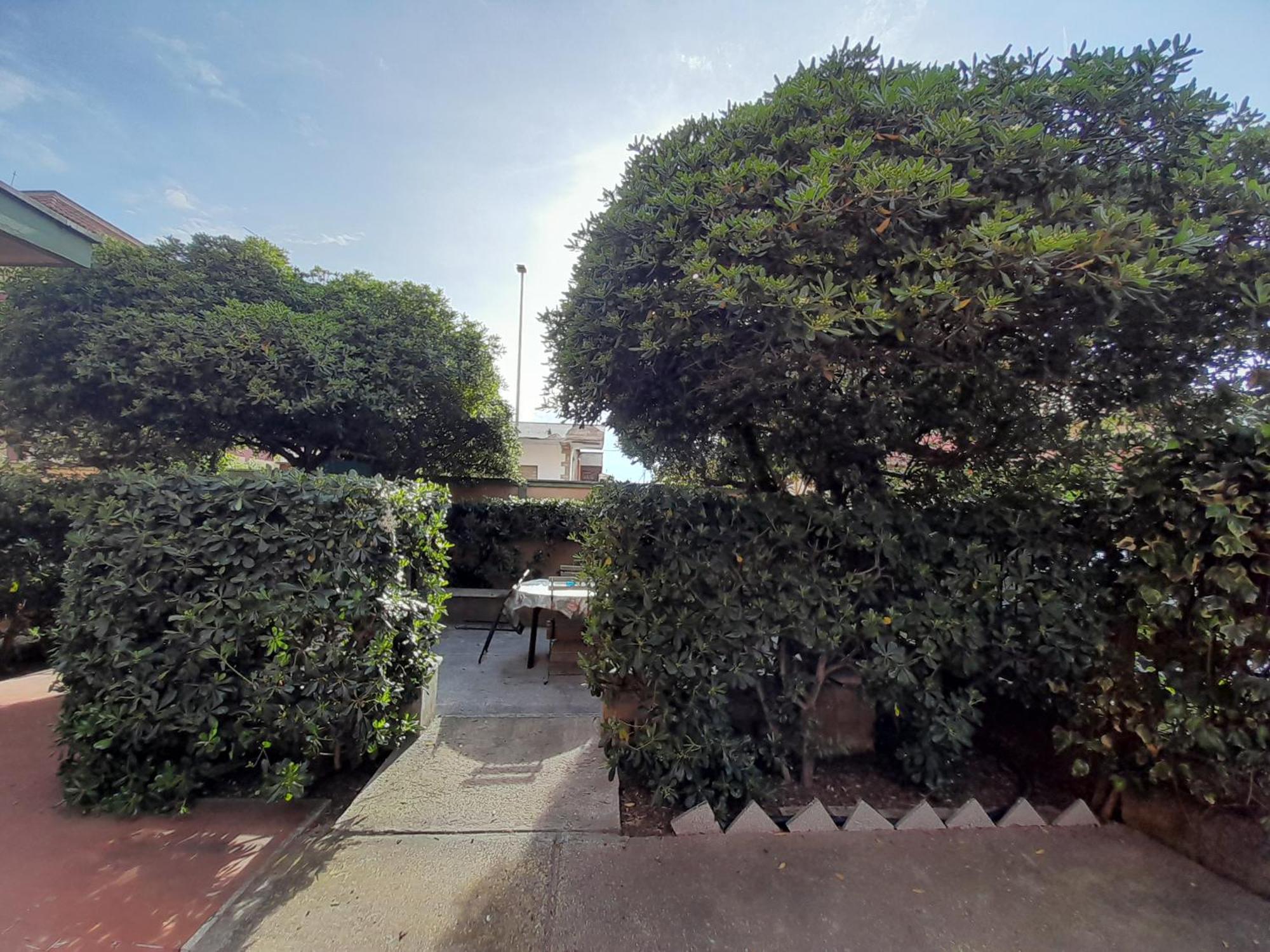 Apartment Airport Casa Sofia 500mt From The *